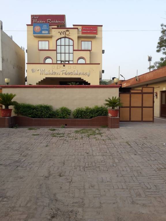 Friends Friends Olive