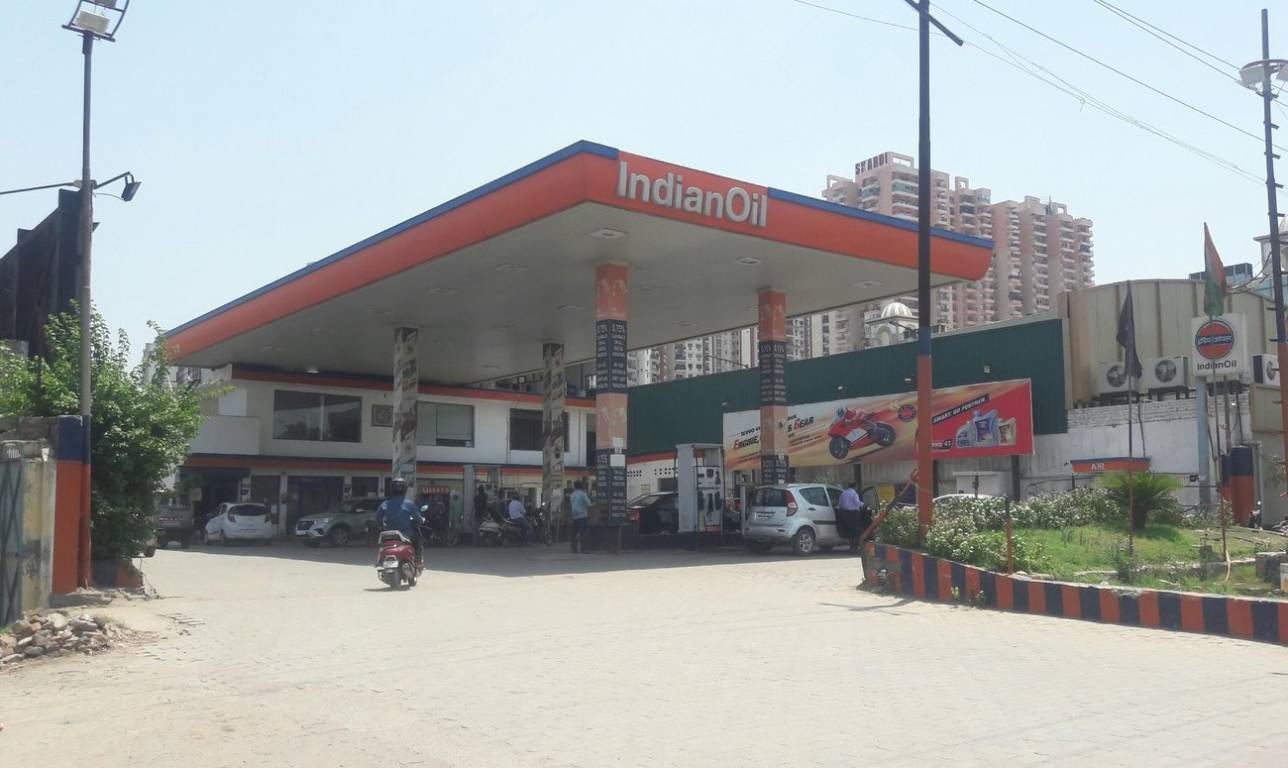 Friends Friends Olive