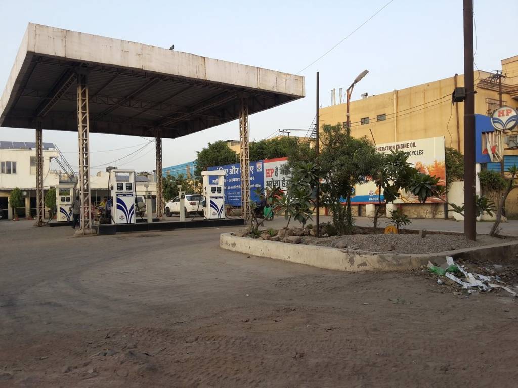 Friends Friends Olive