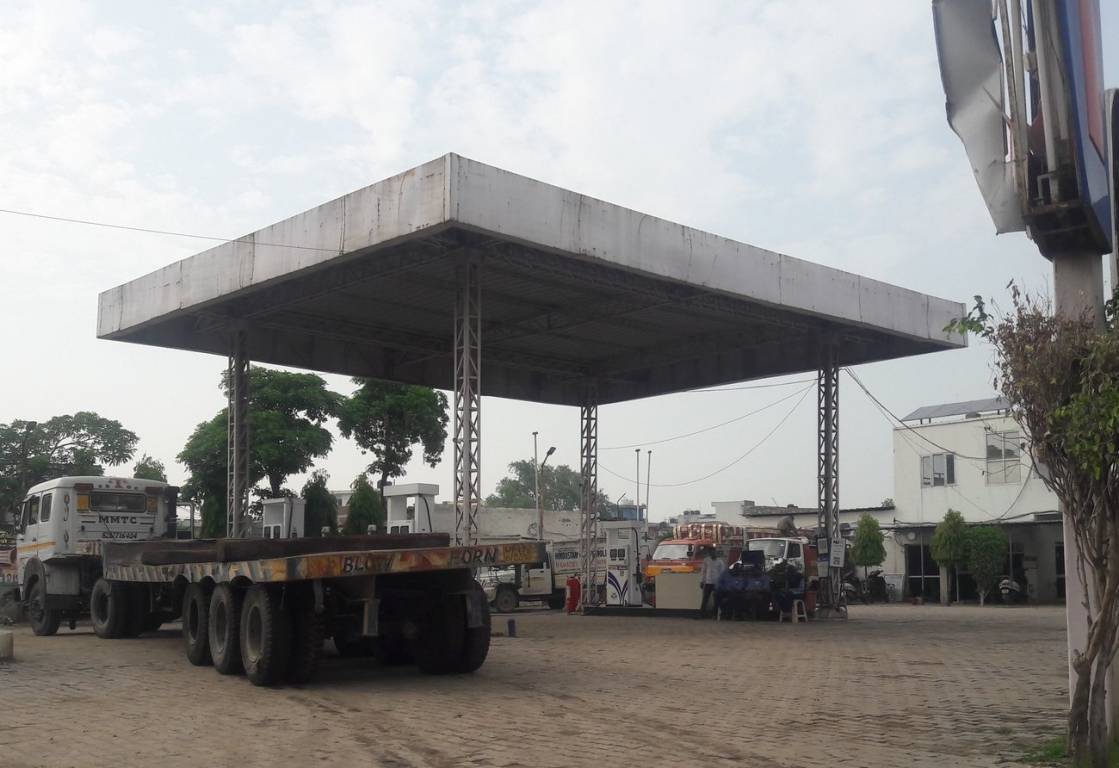 Friends Friends Olive