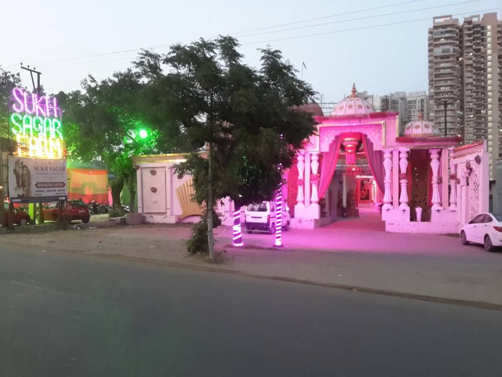 Friends Friends Olive