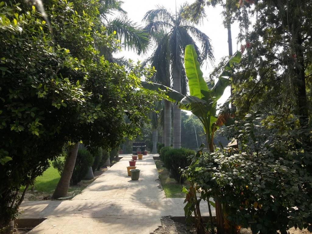 Aura Aura Apartment 6