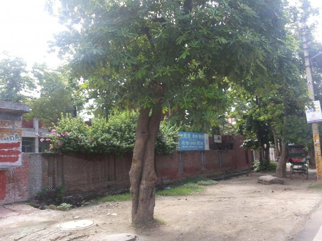 Aura Aura Apartment 6