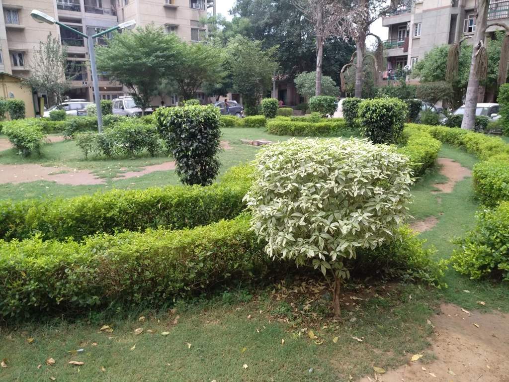 Real Estate Shopee Images Floors   3