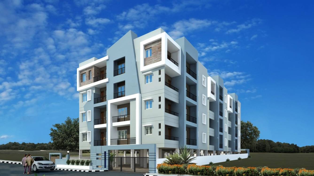 dummy AR AR SM Silver Oak dummy AR AR SM Silver Oak