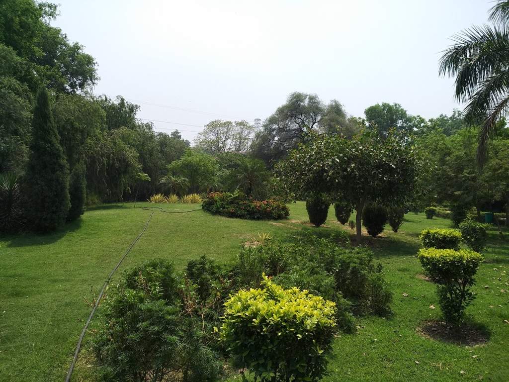 Maharaja Properties Maharaja Floors   I