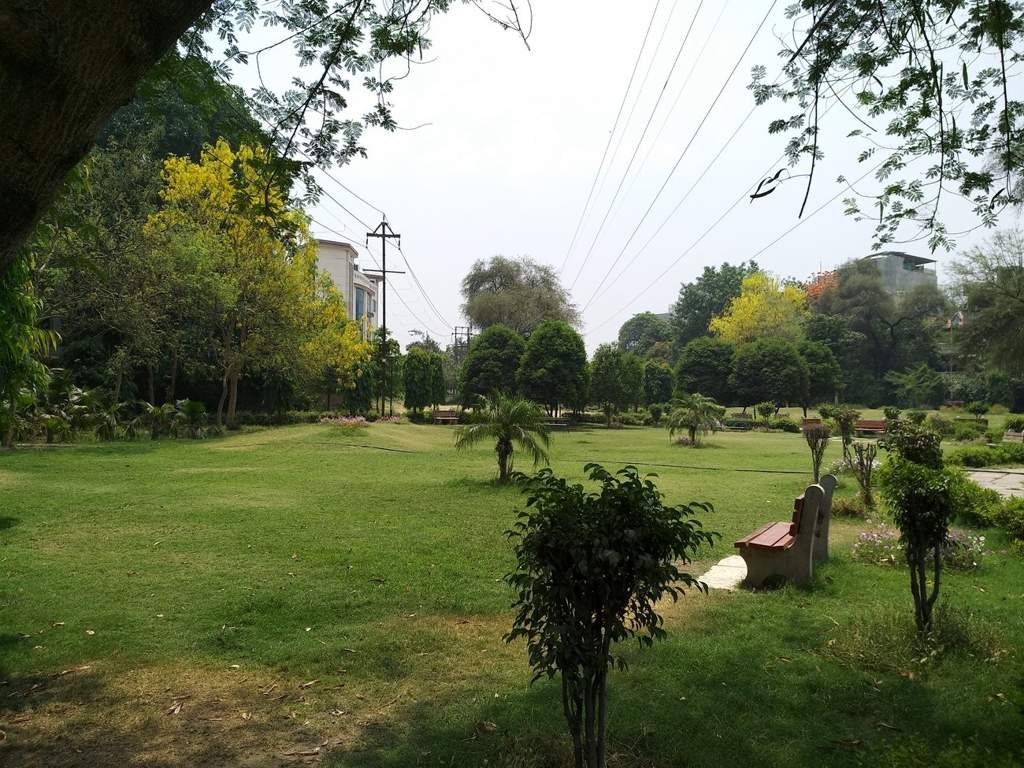 Maharaja Properties Maharaja Floors   I