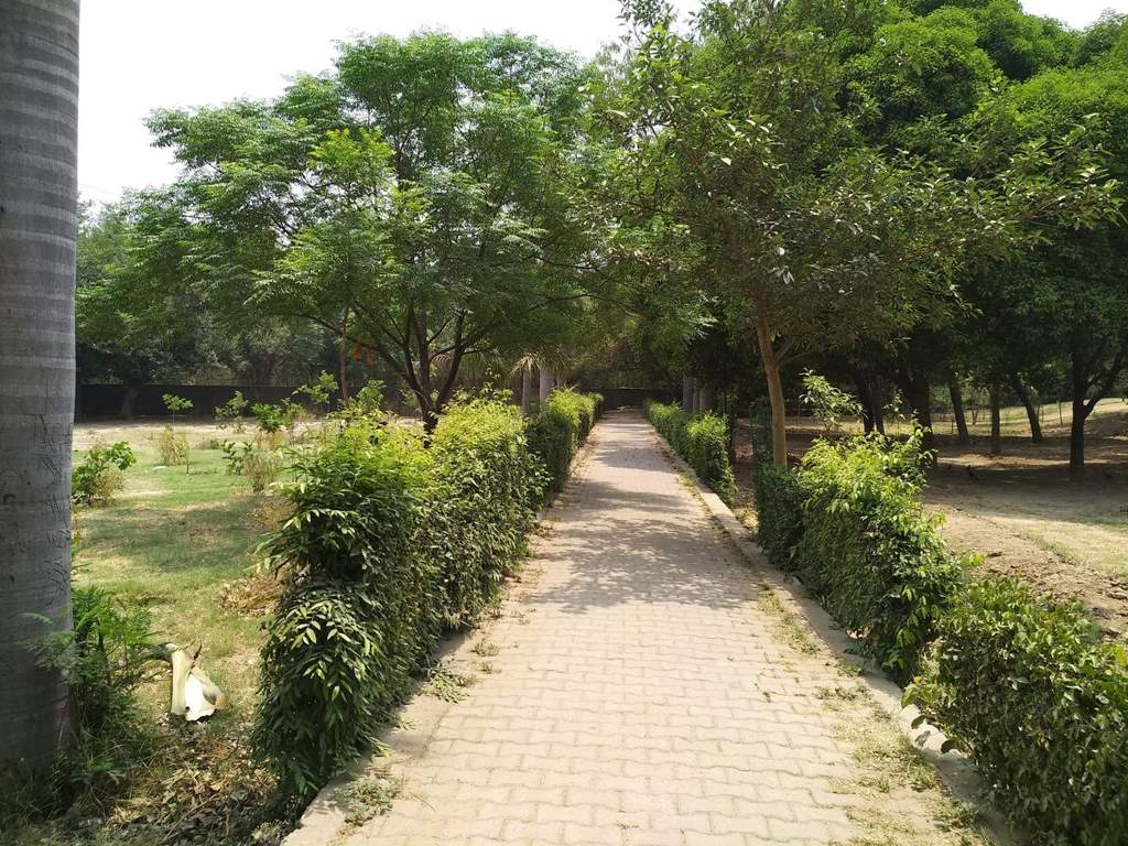 Maharaja Properties Maharaja Floors   I