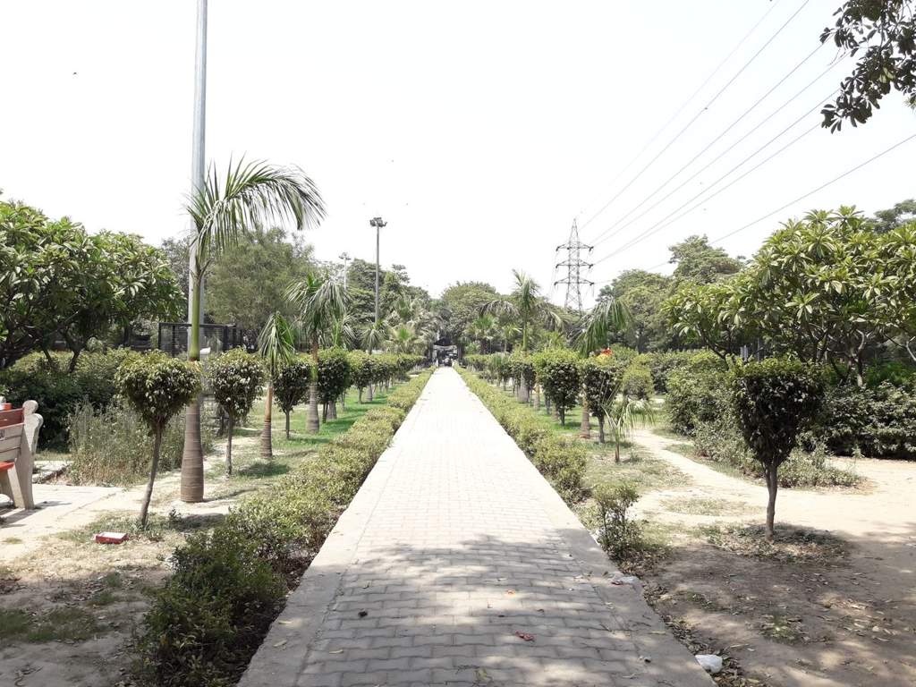 Maharaja Properties Maharaja Floors