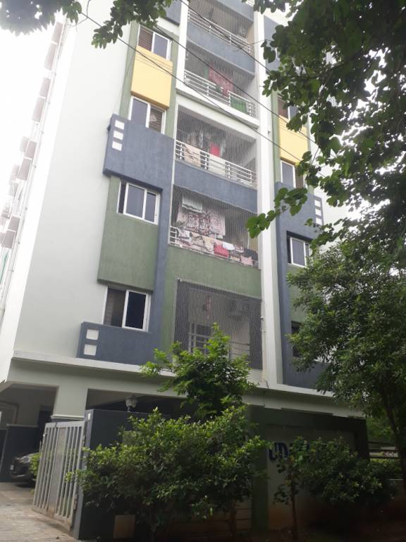  udaya shine Elevation