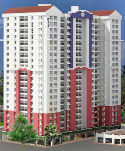 Elevation olive-kalista-aleta Elevation