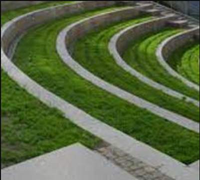  olive kalista aleta Others