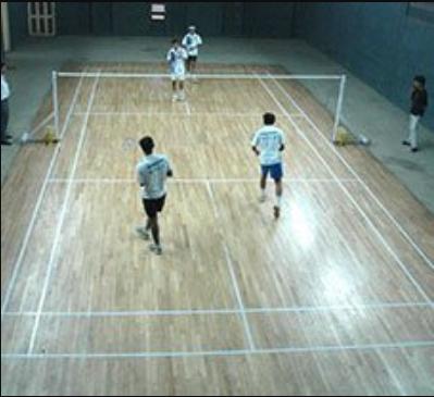  olive-kalista-aleta Others