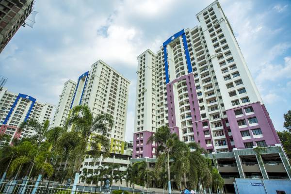  olive-kalista-astra Elevation