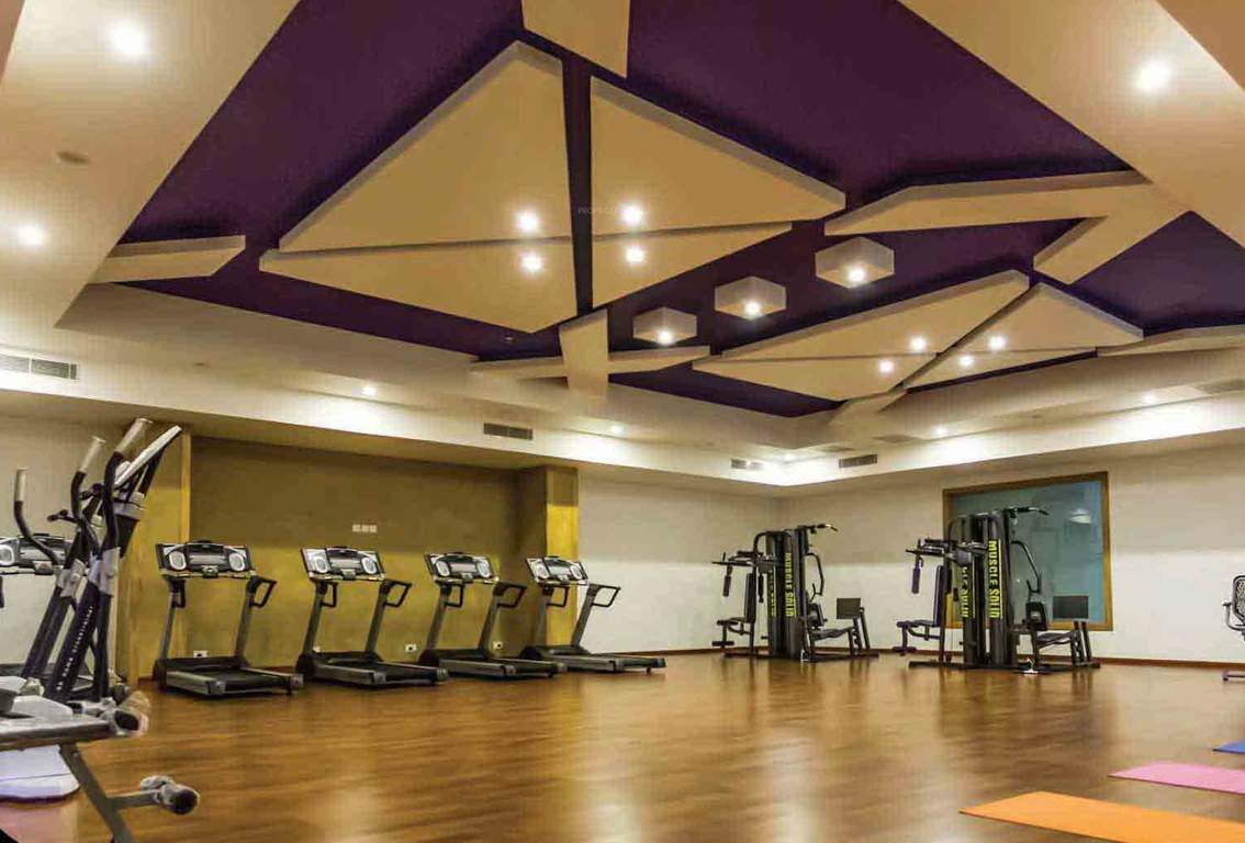  olive kalista astra Gymnasium