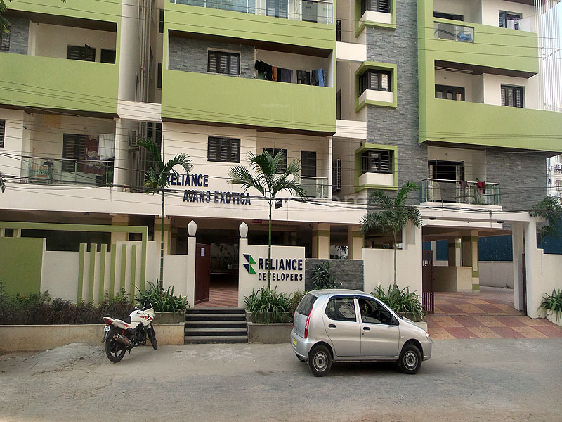  reliance avan s exotica Elevation