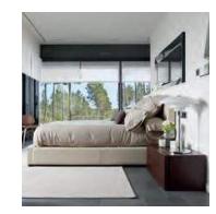  reliance-avan-s-exotica Others