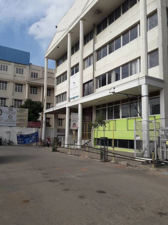 Star Gold Star Gold SV Nivas