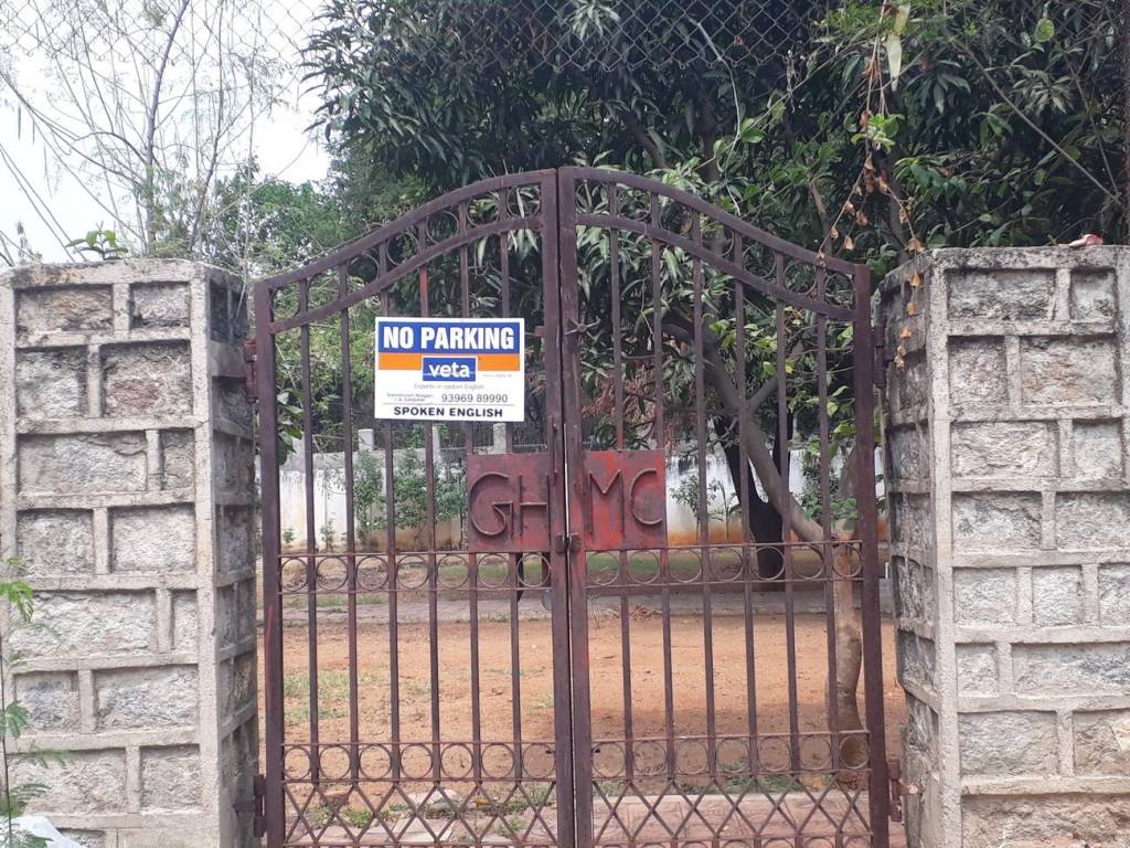 Fortune Fortune Flora