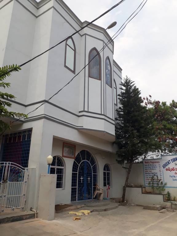 Fortune Fortune Flora