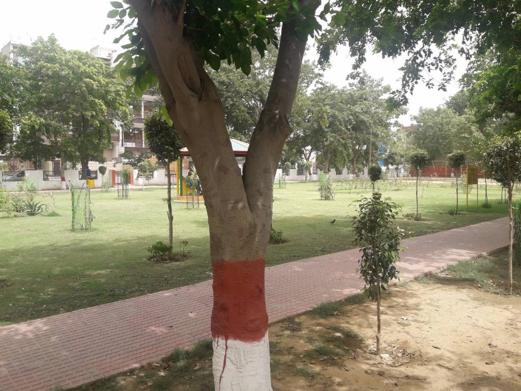 Chanana Real Estate Chanana Homes 5