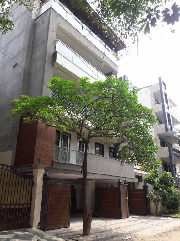 Allure Allure Floors 20