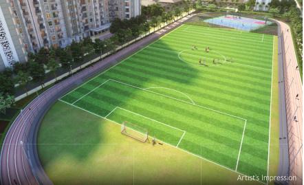  the-crown-jewels Cricket Pitch