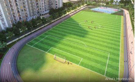  the crown jewels Cricket Pitch