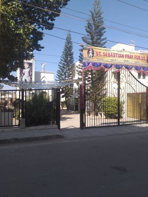 Star Gold Star Gold Brindavan