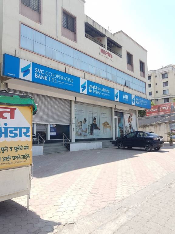 Orchid Orchid 10 Orchid