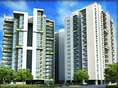 dummy Royce Royce Meet Residency dummy Royce Royce Meet Residency