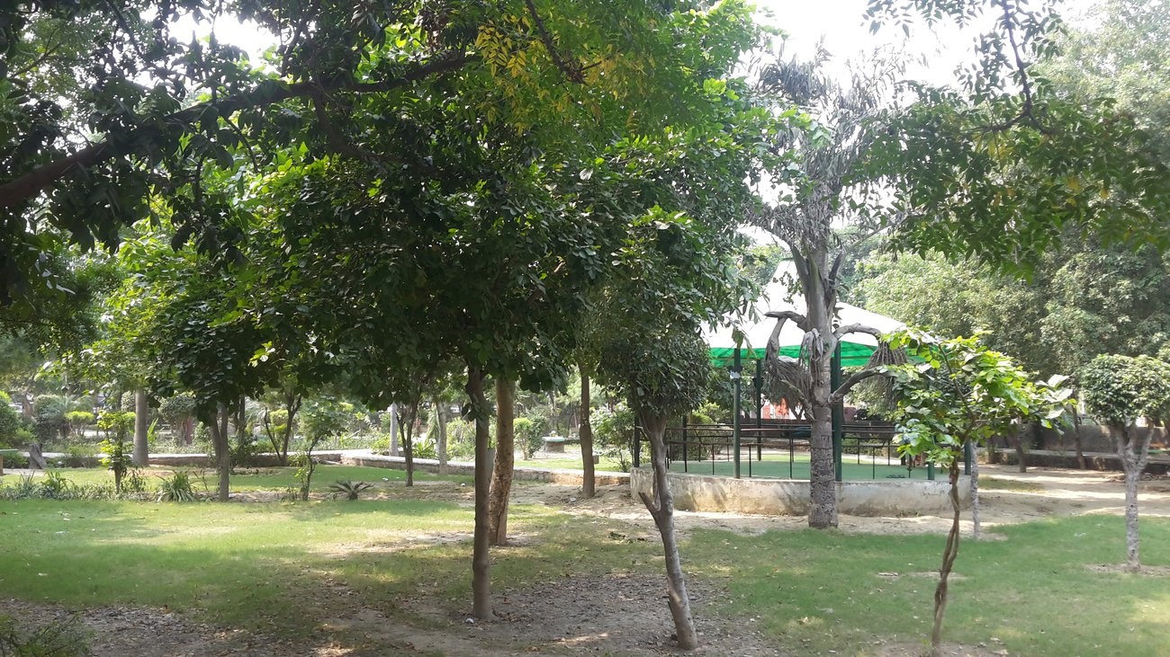 Love India Love India Builders Site 2