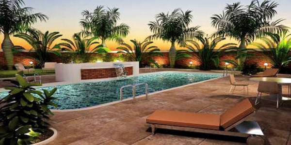 Swimming Pool sebco-golden-belt Swimming Pool