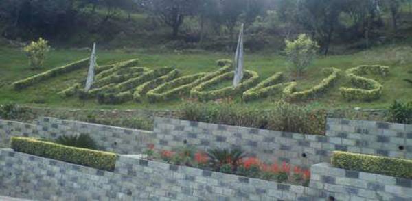 Others meadows Others