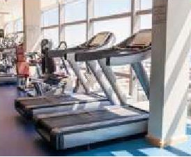  ipsit-paradise Gymnasium