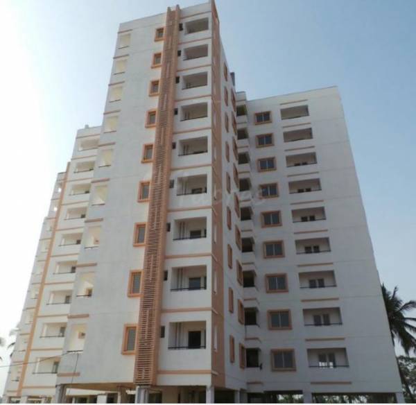  the-greens-amber Elevation