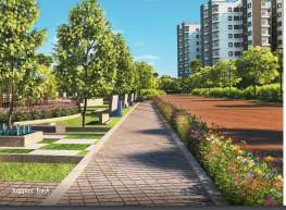  the greens amber Others