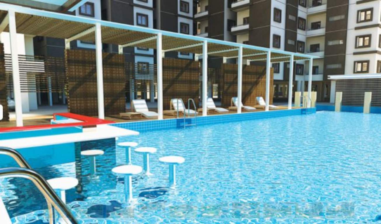  the greens amber Swimming Pool