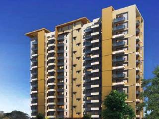 Project Image Project Image