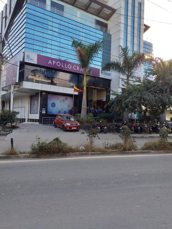 Veracious SS lalithya olives