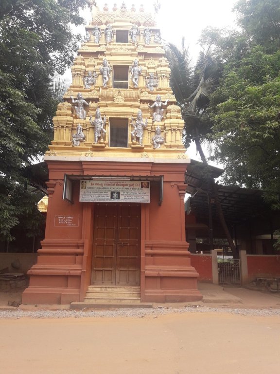 Veracious SS lalithya olives