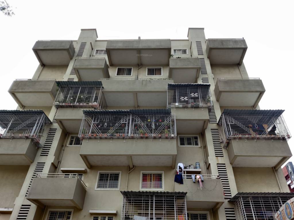  the living Elevation