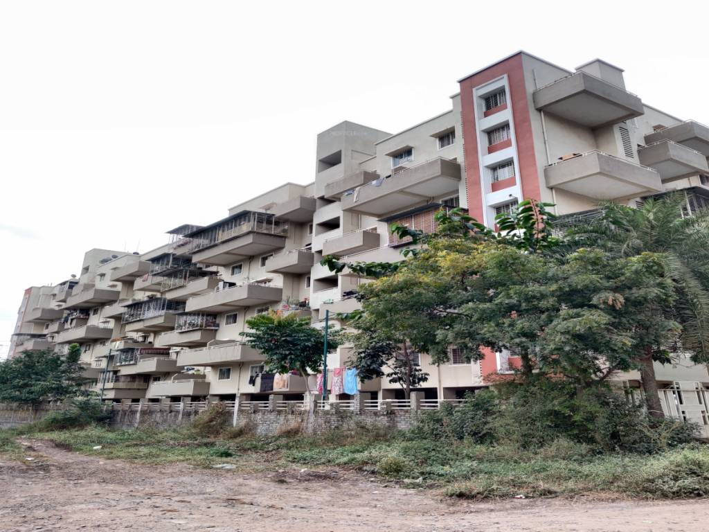  the living Elevation