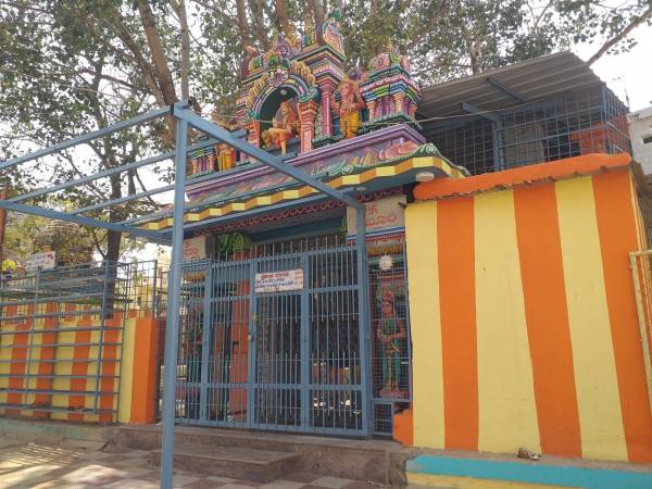 mainOther of Promax Promax Windgates