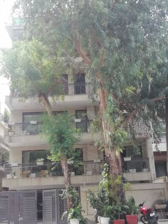 Kinetic Builders Kinetic Floors 4