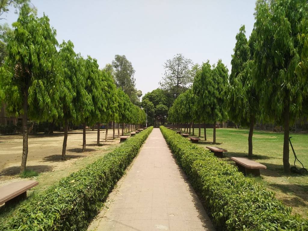 Kinetic Builders Kinetic Floors 5