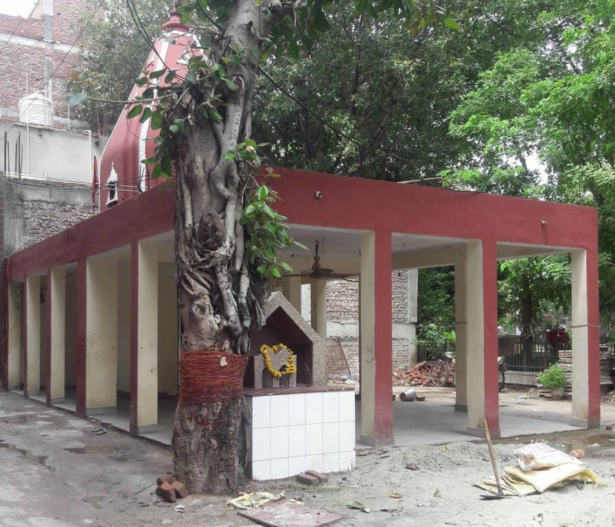 Kinetic Builders Kinetic Floors 5