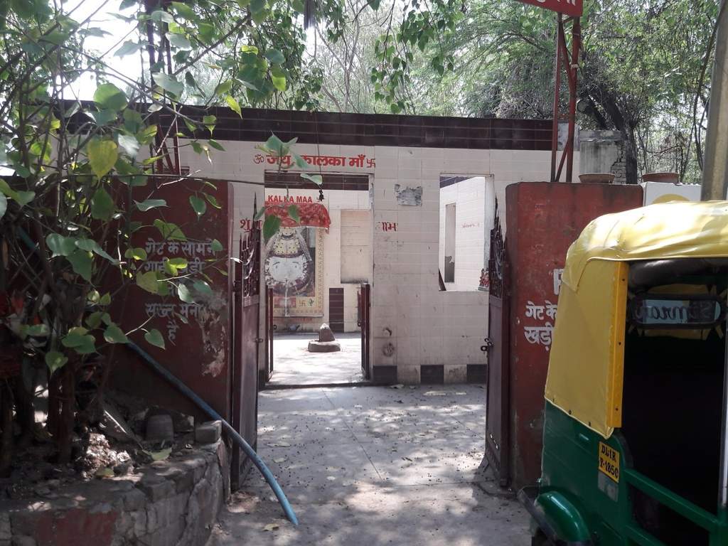 Kinetic Builders Kinetic Floors 7