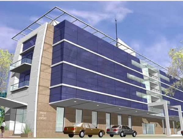 mainOther of Pride Pride Elite