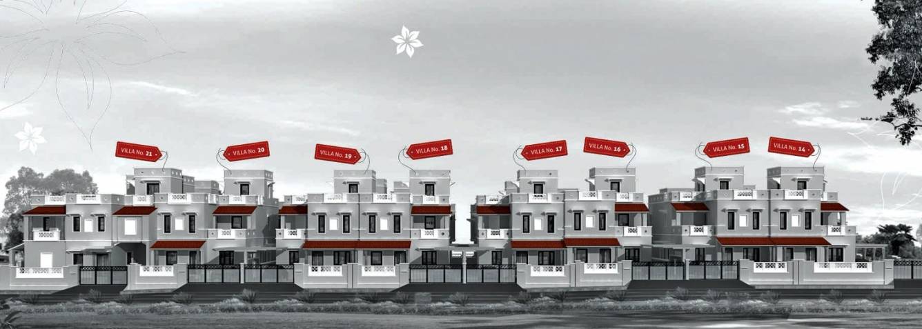 Alliance Asia Alliance Anand